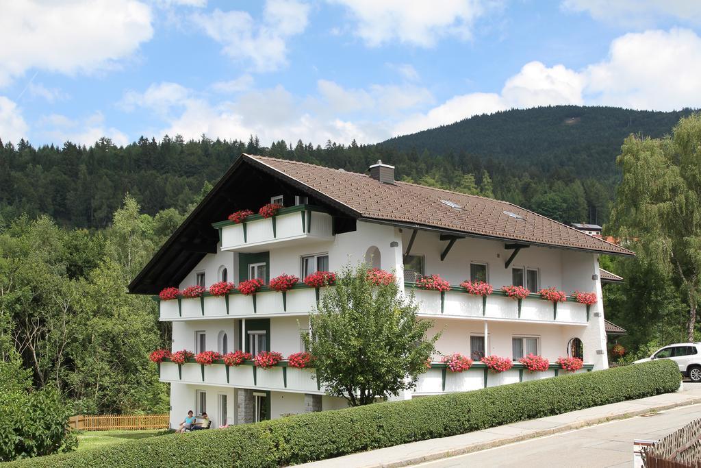 Pension Anderl Bodenmais Extérieur photo